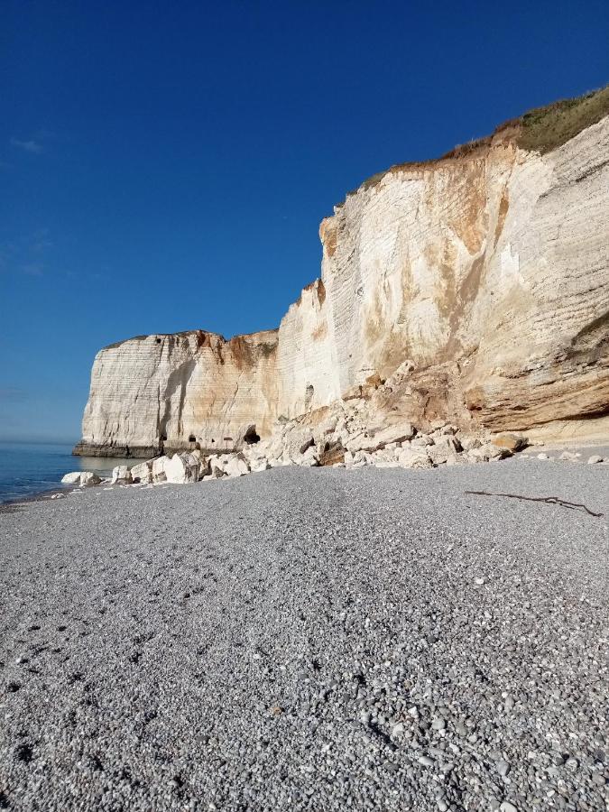 Les Charmes Du Bosquet Parc D'Amour Et Nature Parking Prive Securise Etretat Exterior photo