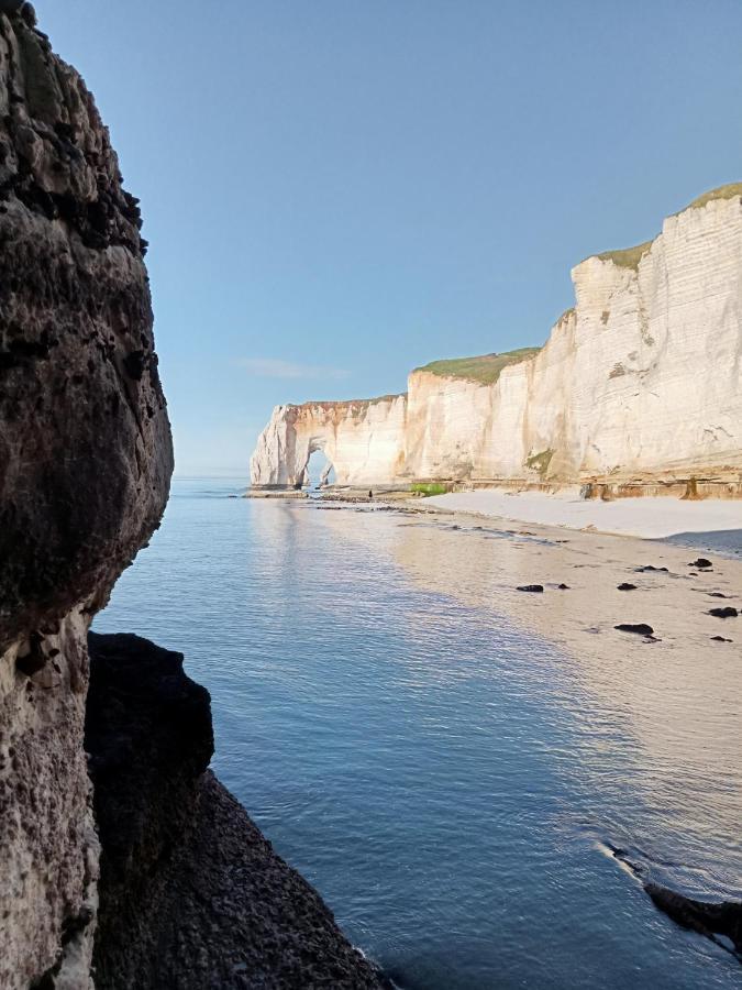Les Charmes Du Bosquet Parc D'Amour Et Nature Parking Prive Securise Etretat Exterior photo