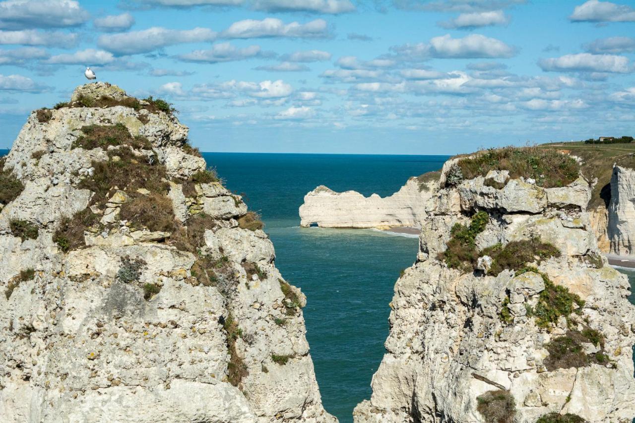 Les Charmes Du Bosquet Parc D'Amour Et Nature Parking Prive Securise Etretat Exterior photo